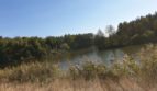 Sale of a land plot of 14.6349 hectares in the v. Petrushki - 2