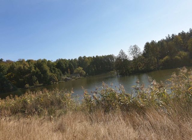 Sale of a land plot of 14.6349 hectares in the v. Petrushki - 2