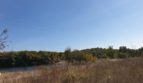 Sale of a land plot of 14.6349 hectares in the v. Petrushki - 6