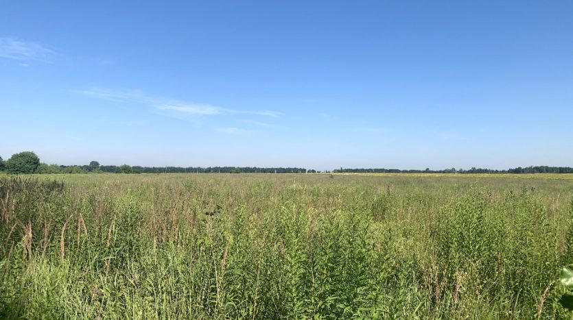Sale of a land plot 2.4781 ha in Dudarkov - 3