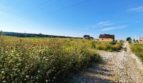 Sale of a land plot 676 km 2 in Shlyakhtintsy - 1