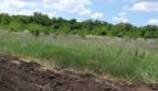 Land plot 2 hectares in Nerubayskoye - 3