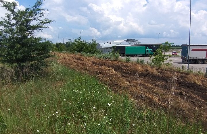 Land plot 2 hectares in Nerubayskoye