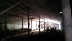 Rent - Dry warehouse, 3600 sq.m., Berezovka - 8