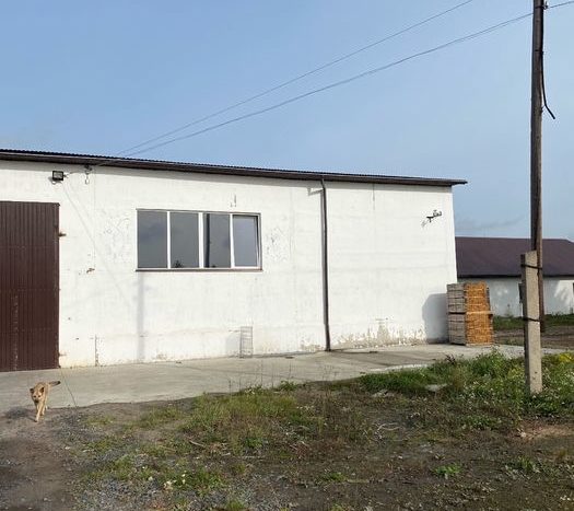 Rent / Sale - Dry warehouse, 1300 sq.m., Kovel - 5
