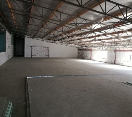 Rent - Dry warehouse, 800 sq.m., Vishnevoe
