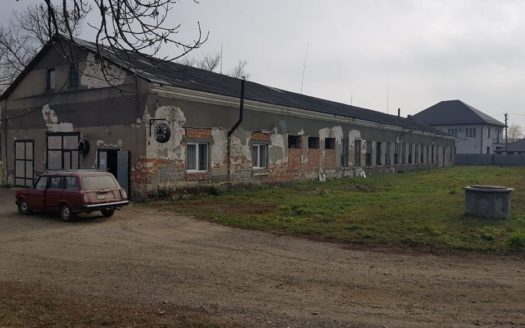 Archived: Rent – Dry warehouse, 900 sq.m., Kamenka