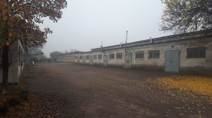 Rent - Dry warehouse, 650 sq.m., Borispol - 2