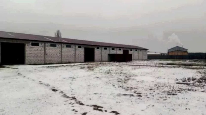 Rent - Dry warehouse, 1500 sq.m., Vyshgorod - 2