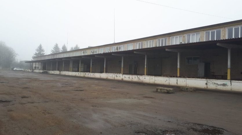 Rent - Dry warehouse, 2500 sq.m., Lutsk