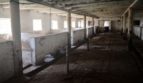 Rent - Dry warehouse, 2000 sq.m., Ternopil - 6