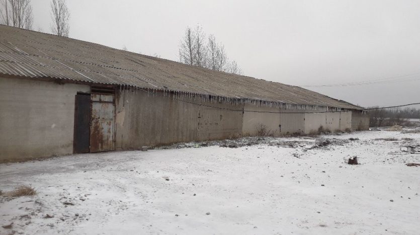 Rent - Dry warehouse, 1500 sq.m., Vysoky - 8