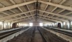 Sale - Dry warehouse, 1512 sq.m., Sumy - 2
