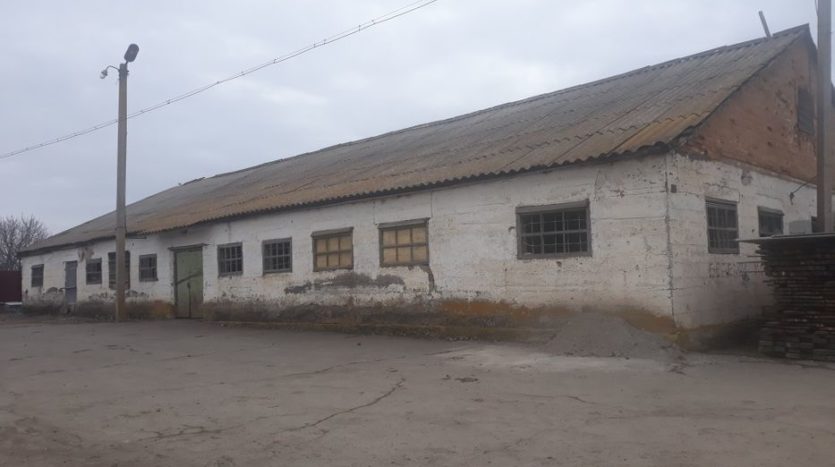 Sale - Freezer warehouse, 190 sq.m., Adjamka