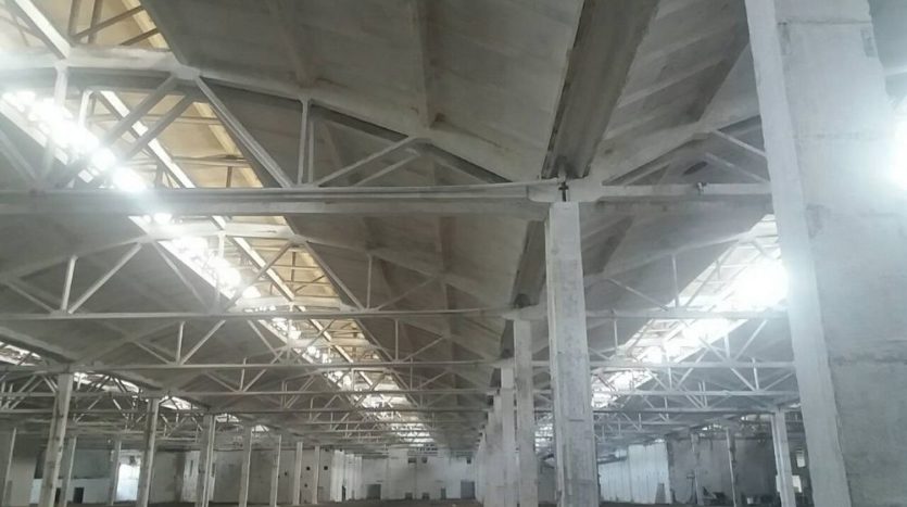 Sale - Industrial premises, 35000 sq.m., Borispol - 5