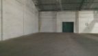 Rent - Refrigerated warehouse, 780 sq.m., Kiev - 1