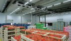 Rent - Refrigerated warehouse, 10000 sq.m., Martusovka - 2