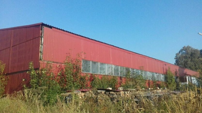 Sale - Dry warehouse, 1000 sq.m., Ivano-Frankivsk - 7
