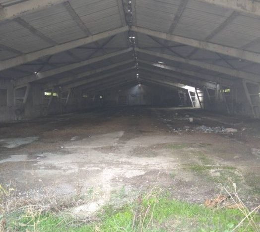 Rent - Dry warehouse, 9000 sq.m., Kominternovskoe - 6