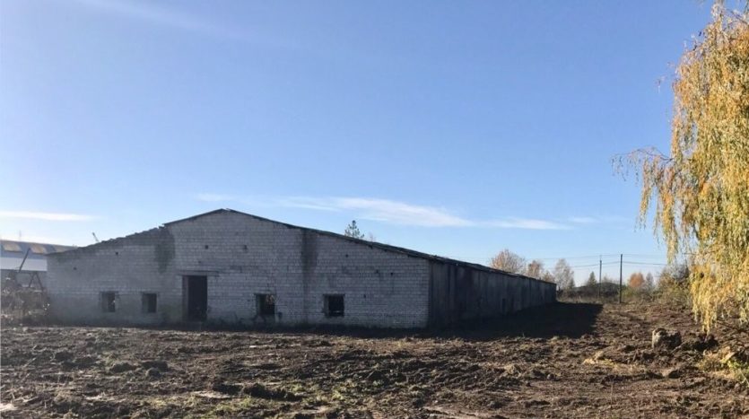 Rent - Dry warehouse, 2000 sq.m., Davidov