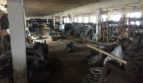 Sale - Dry warehouse, 800 sq.m., Buchach - 11