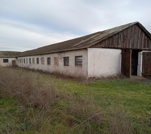Sale - Dry warehouse, 500 sq.m., Lupolovo - 5