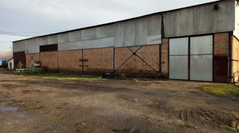 Sale - Dry warehouse, 330 sq.m., Lyubashevka