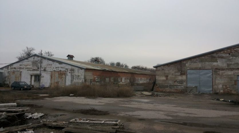 Sale - Dry warehouse, 3500 sq.m., Vasilievka - 2