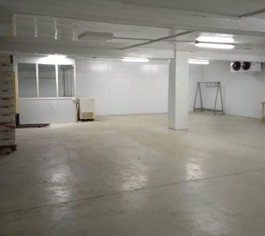 Rent - Refrigerated warehouse, 505 sq.m., Markhalovka - 2