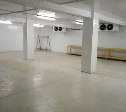 Rent - Refrigerated warehouse, 505 sq.m., Markhalovka - 5