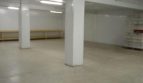 Rent - Refrigerated warehouse, 505 sq.m., Markhalovka - 7