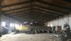 Sale - Dry warehouse, 1500 sq.m., Nadvirna - 3