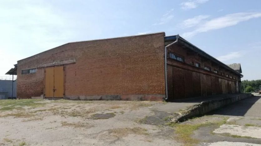 Sale - Dry warehouse, 1580 sq.m., Nemyriv - 2