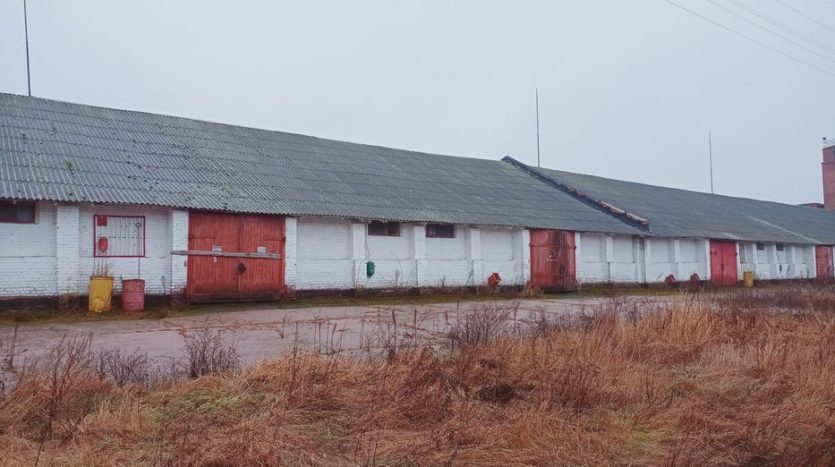 Rent - Dry warehouse, 10000 sq.m., Nizhyn - 2