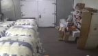 Rent - Multi-temperature warehouse, 275 sq.m., Kiev - 1