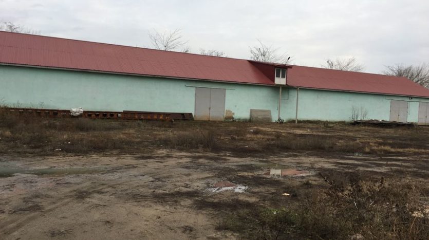 Rent - Warm warehouse, 500 sq.m., Belgorod-Dnestrovsky - 2