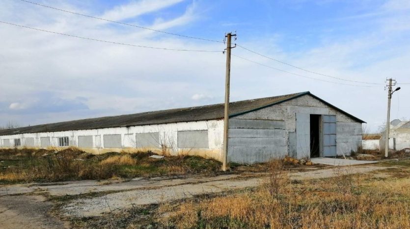 Sale - Dry warehouse, 7200 sq.m., Mirnoe