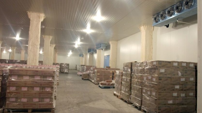 Rent - Refrigerated warehouse, 1300 sq.m., Lviv - 3