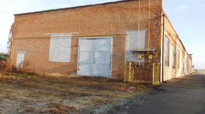 Rent - Dry warehouse, 1430 sq.m., Talnoe - 2