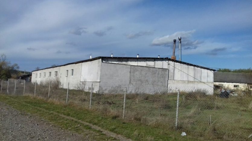 Sale - Dry warehouse, 2700 sq.m., Zolochev - 9