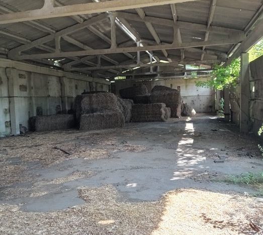 Sale - Dry warehouse, 1700 sq.m., Nosovka - 7