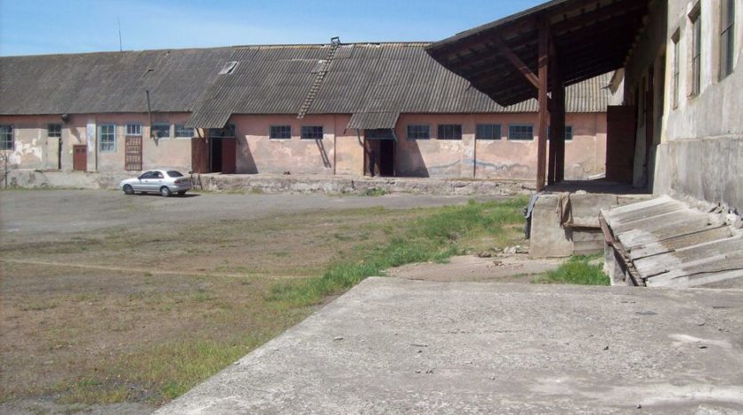 Sale - Warm warehouse, 1600 sq.m., Novoukrainka - 2