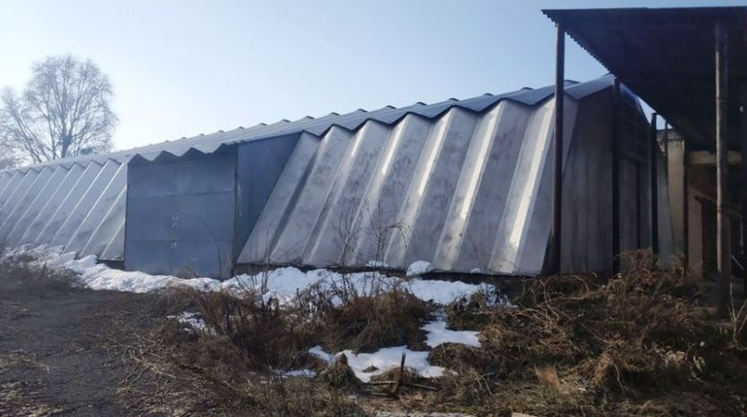 Sale - Dry warehouse, 390 sq.m., Uzhgorod