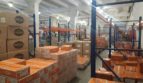 Rent - Dry warehouse, 800 sq.m., Kremenchug - 12