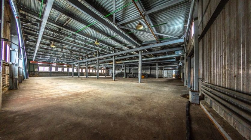 Rent - Dry warehouse, 3000 sq.m., Gostomel - 9