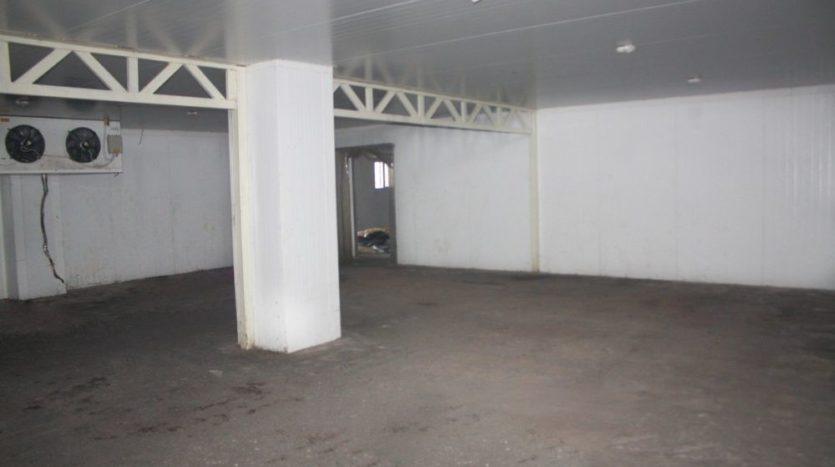 Rent - Freezer warehouse, 400 sq.m., Kamyanets-Podolskiy - 3