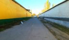Rent - Refrigerated warehouse, 290 sq.m., Zaporozhye - 12