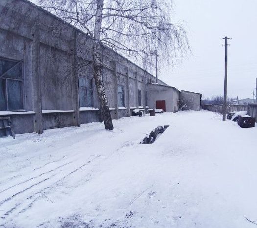 Rent - Dry warehouse, 2542 sq.m., Kryzhopol - 3