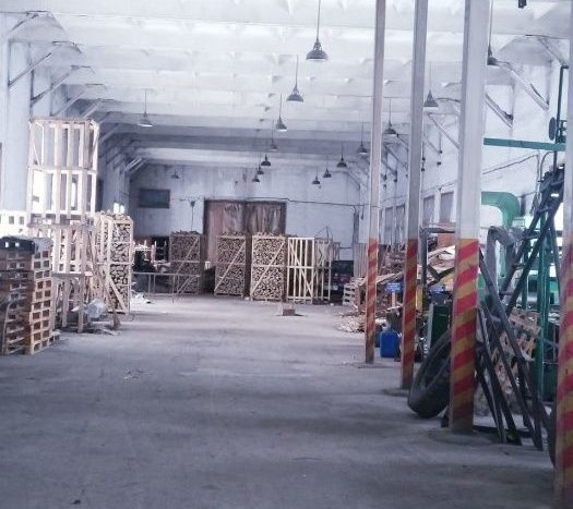 Rent - Dry warehouse, 2542 sq.m., Kryzhopol - 6