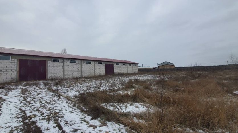 Sale - Dry warehouse, 948 sq.m., Lebedevka - 5